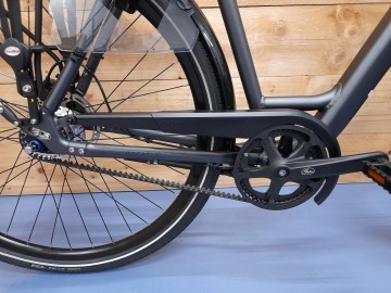 Pegasus Siena damesfiets Mobiele fietsservice