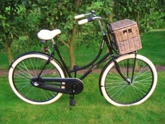 Fietsmand Basil Denton maat M