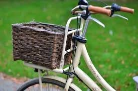 Fietsmand New Looxs Brisbane maat L